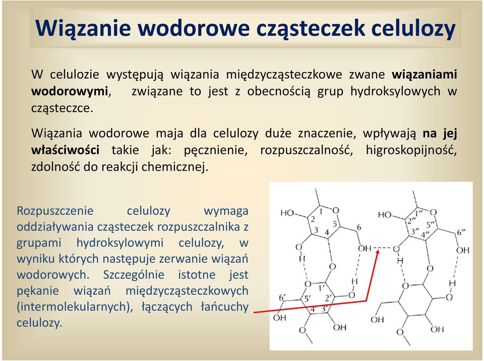 Wiązania wodorowe maja dla celulozy duże znaczenie, wpływają na jej właściwości takie jak: pęcznienie, rozpuszczalność, higroskopijność, zdolność do