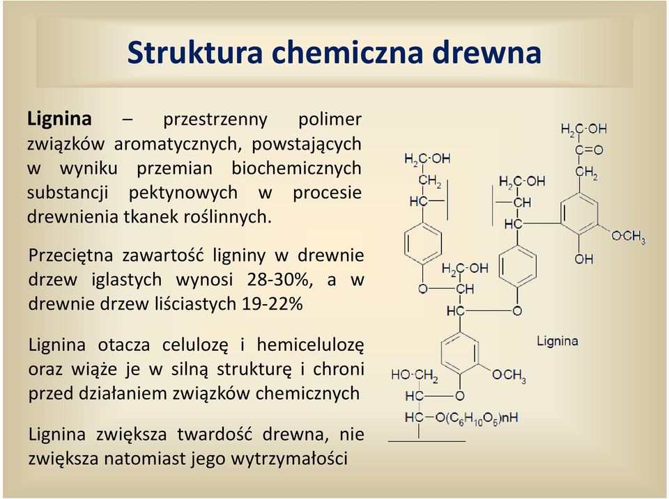 Przeciętna zawartość ligniny w drewnie drzew iglastych wynosi 28-30%, a w drewnie drzew liściastych 19-22% Lignina otacza