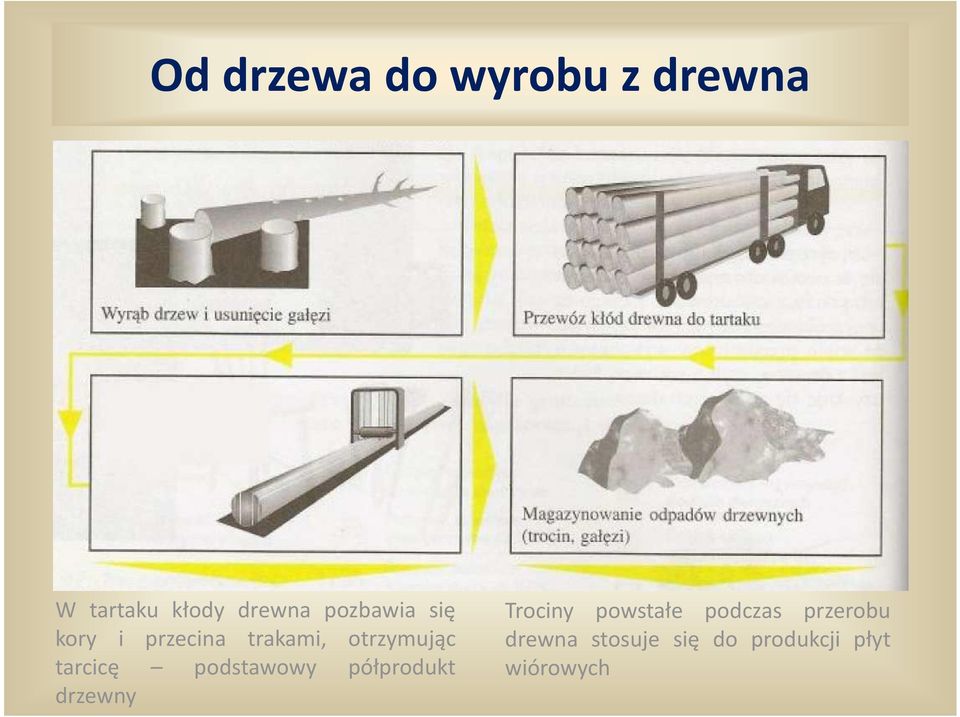 tarcicę podstawowy półprodukt drzewny Trociny powstałe