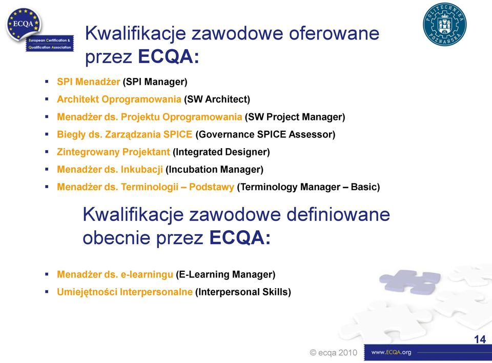 Zarządzania SPICE (Governance SPICE Assessor) Zintegrowany Projektant (Integrated Designer) Menadżer ds.