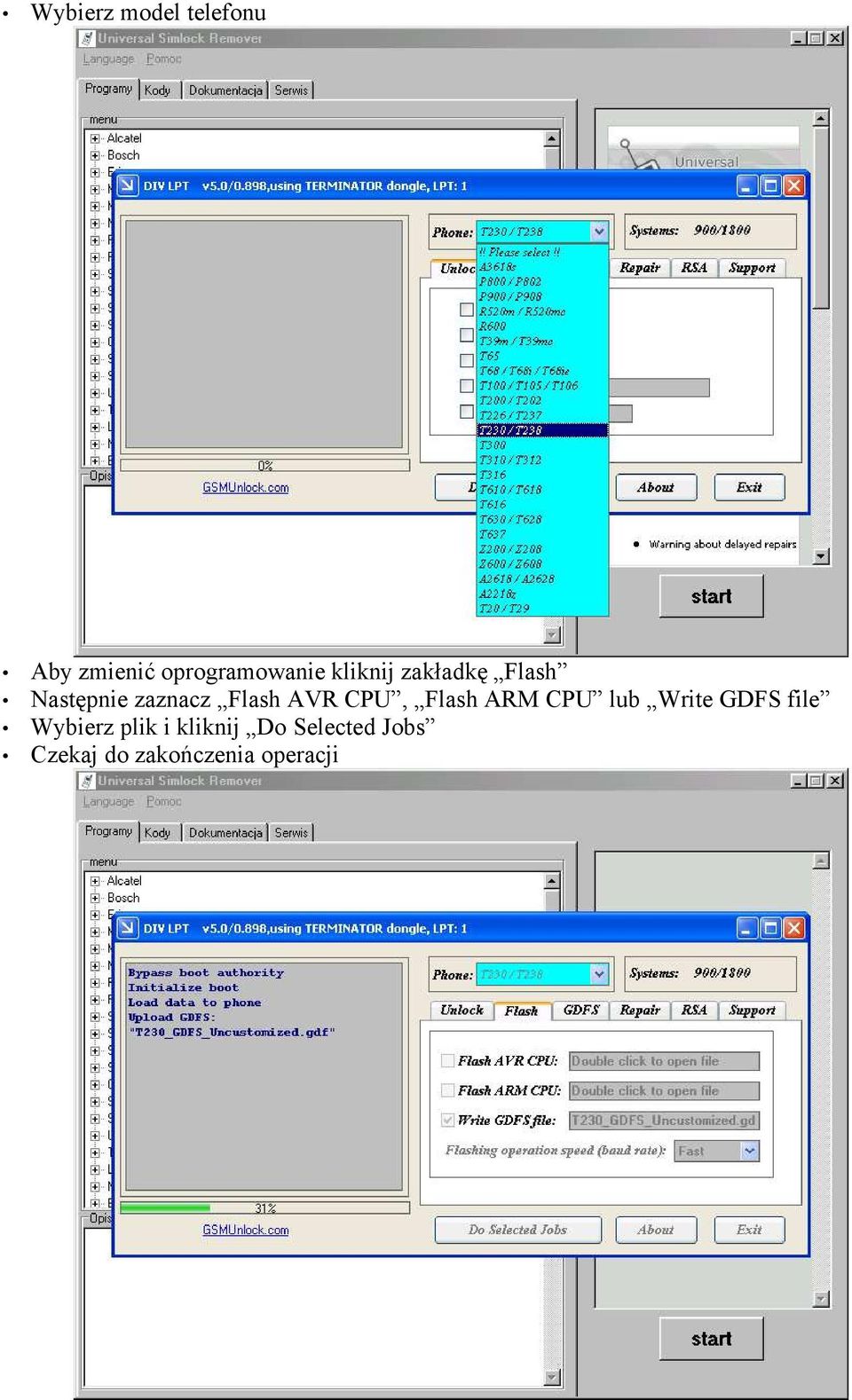 CPU, Flash ARM CPU lub Write GDFS file Wybierz plik