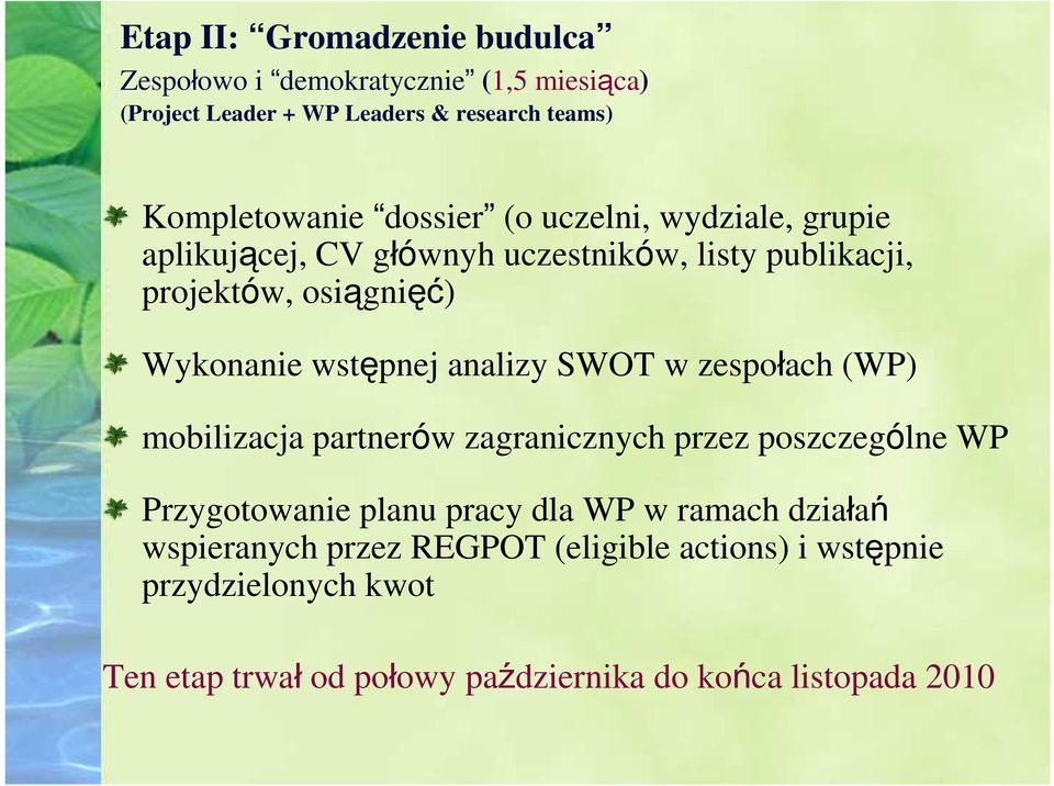 analizy SWOT w zespołach (WP) mobilizacja partnerów zagranicznych przez poszczególne WP Przygotowanie planu pracy dla WP w ramach