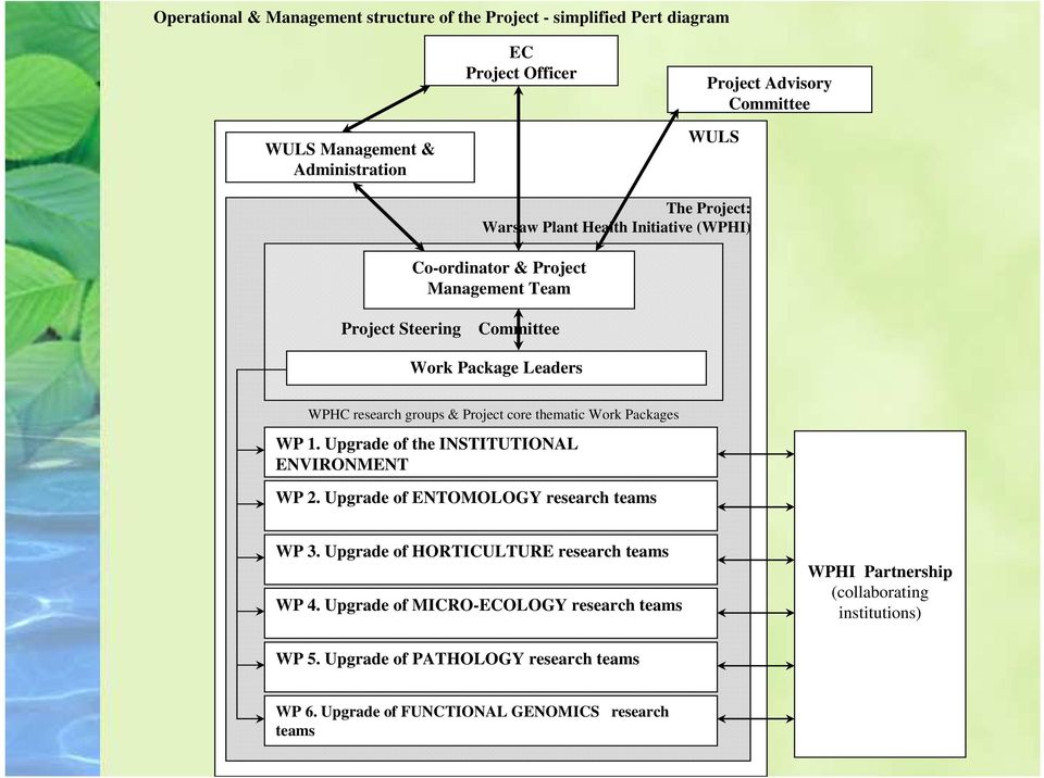 core thematic Work Packages WP 1. Upgrade of the INSTITUTIONAL ENVIRONMENT WP 2. Upgrade of ENTOMOLOGY research teams WP 3. Upgrade of HORTICULTURE research teams WP 4.