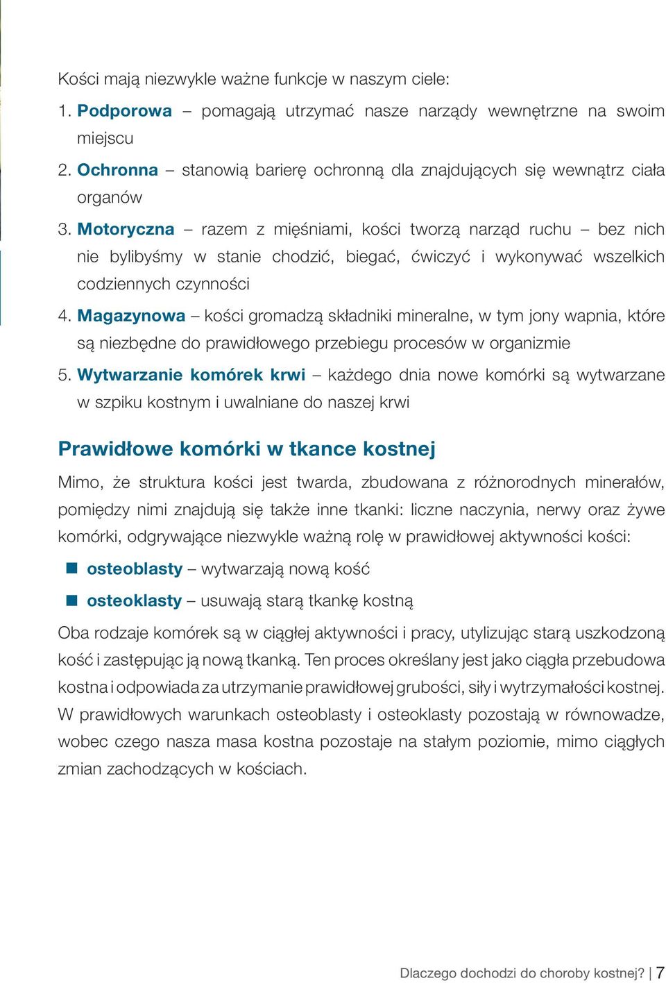 Motoryczna razem z mięśniami, kości tworzą narząd ruchu bez nich nie bylibyśmy w stanie chodzić, biegać, ćwiczyć i wykonywać wszelkich codziennych czynności 4.