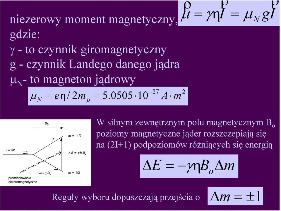 0505 10 A m ρ μ = γ = ρ ρ ηi μ gi N W silnym zewnętrznym polu magnetycznym B o poziomy