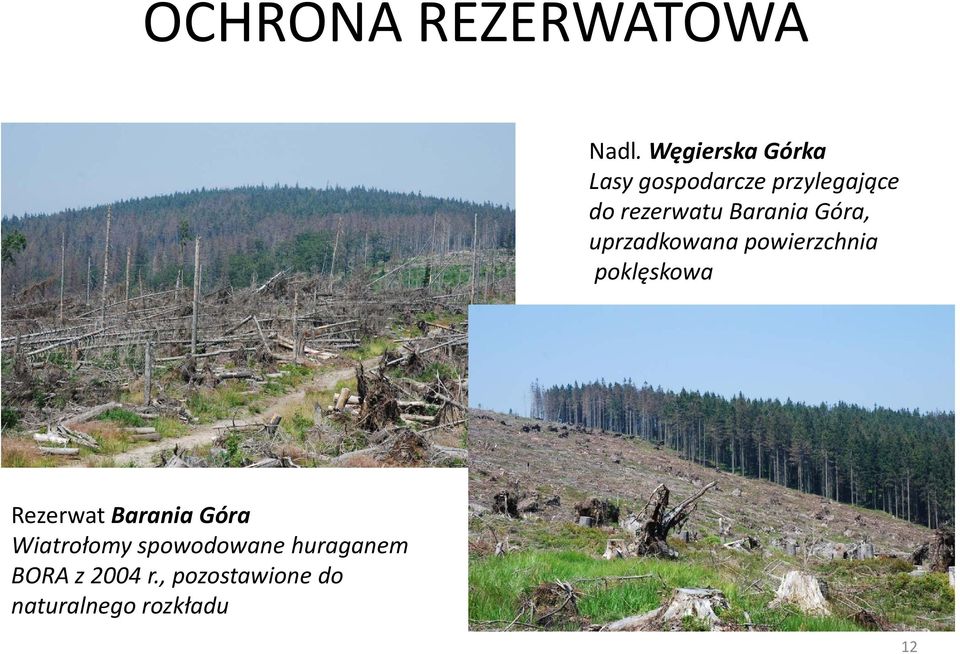 Barania Góra, uprzadkowana powierzchnia poklęskowa Rezerwat