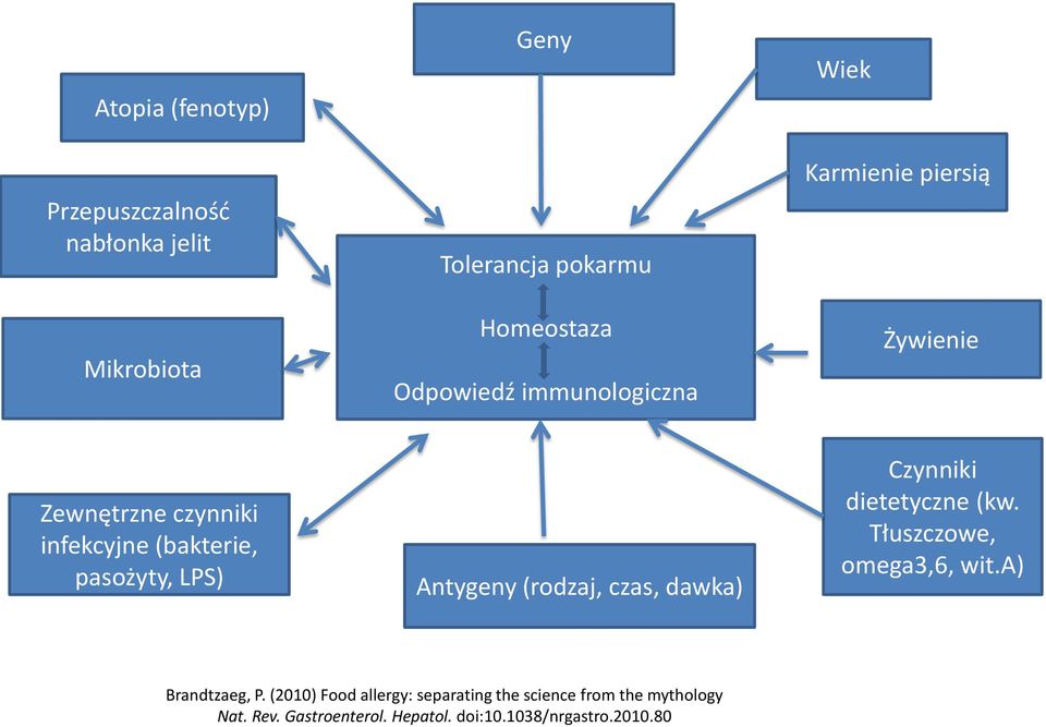 Antygeny (rodzaj, czas, dawka) Czynniki dietetyczne (kw. Tłuszczowe, omega3,6, wit.a) Brandtzaeg, P.