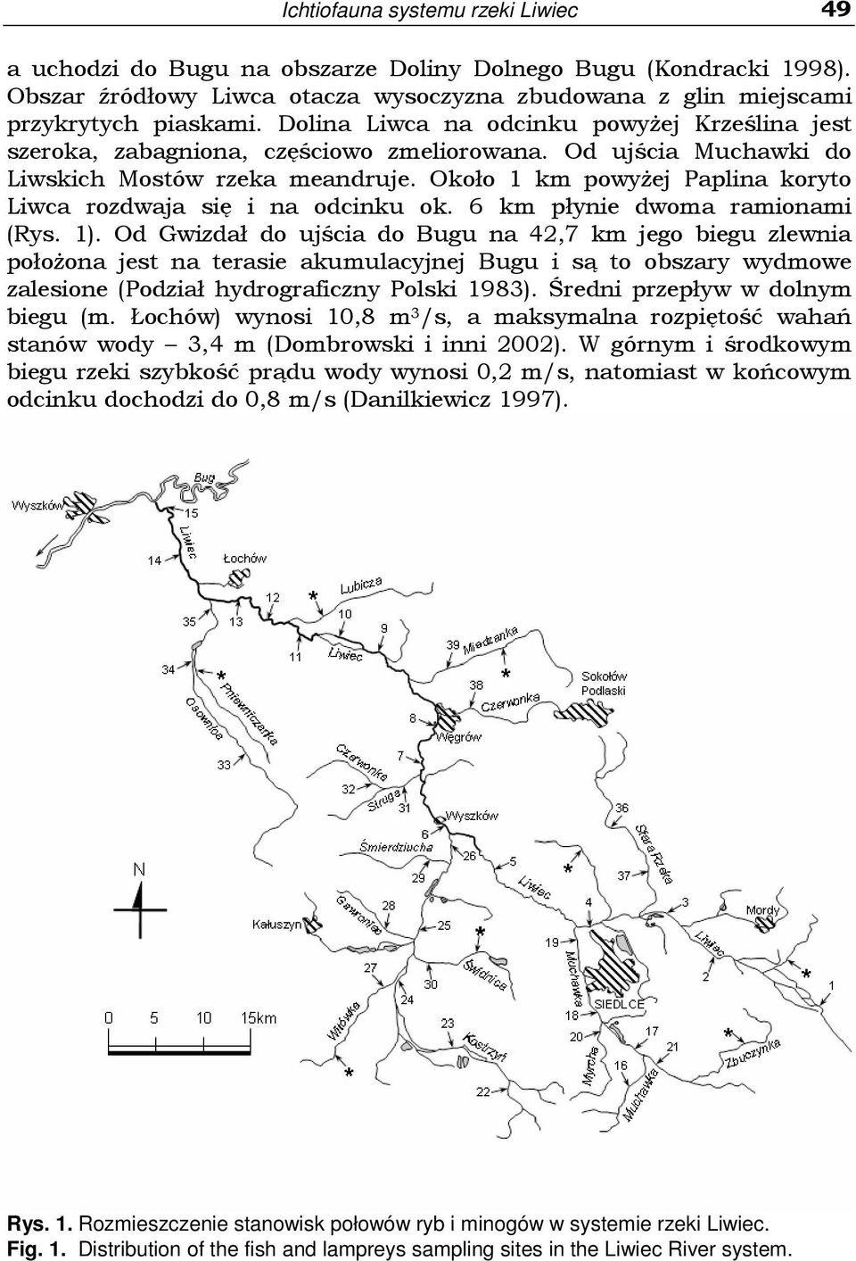 Około 1 km powyŝej Paplina koryto Liwca rozdwaja się i na odcinku ok. 6 km płynie dwoma ramionami (Rys. 1).