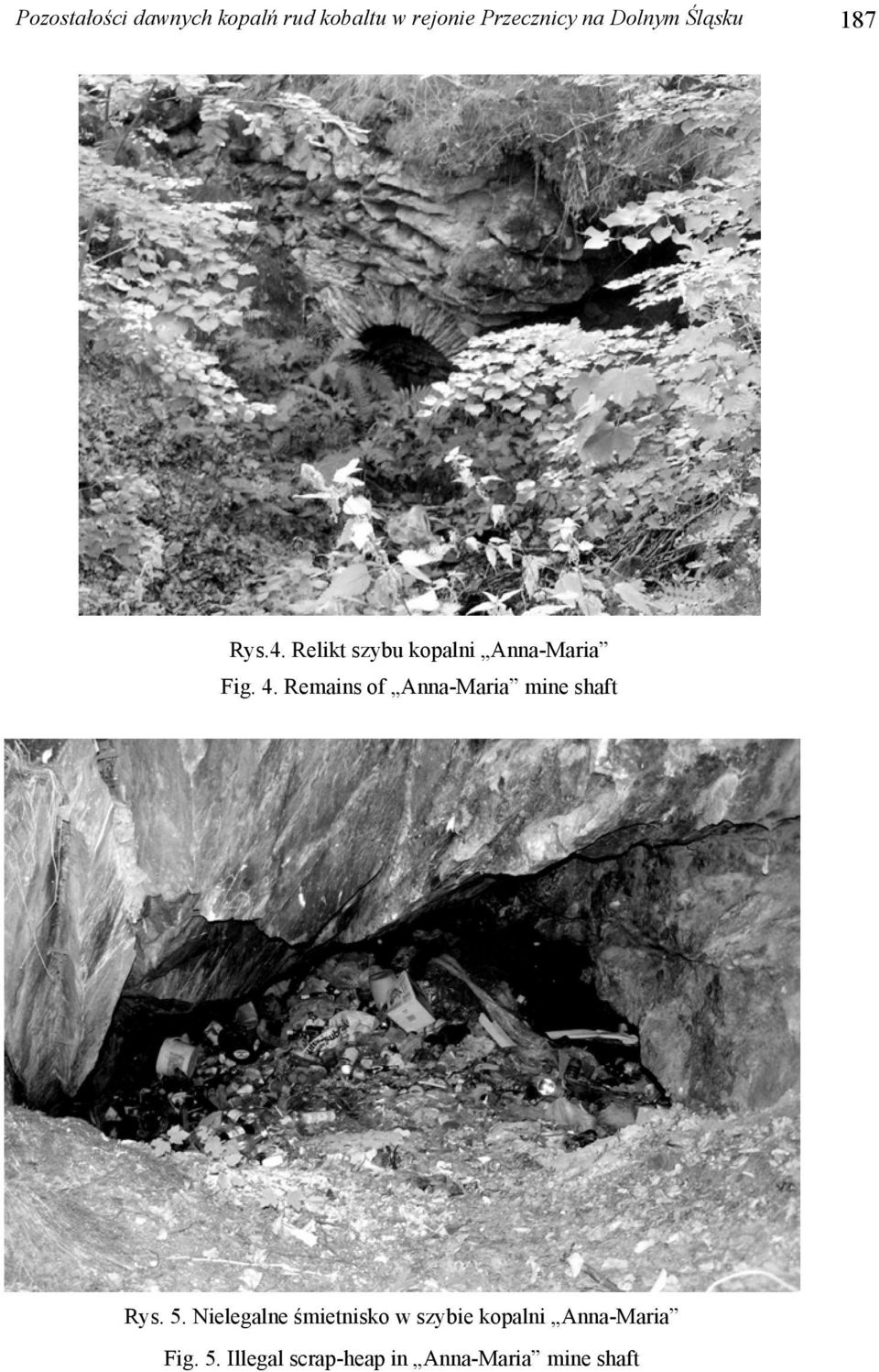 Remains of Anna-Maria mine shaft Rys. 5.
