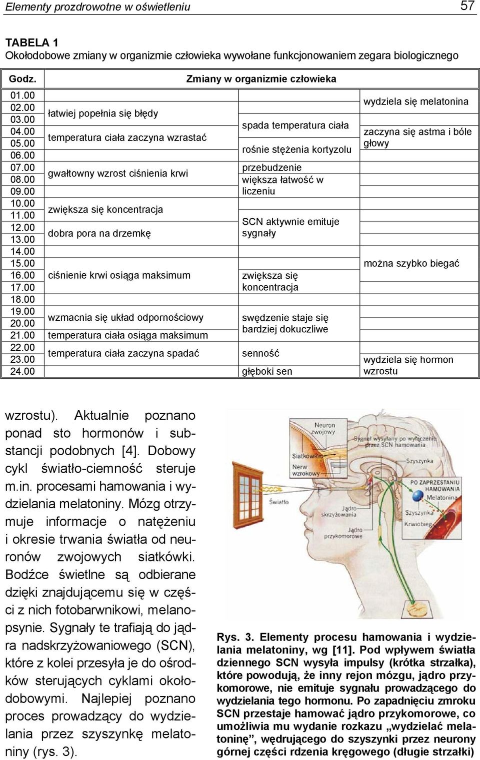 00 większa łatwość w 09.00 liczeniu 10.00 zwiększa się koncentracja 11.00 SCN aktywnie emituje 12.00 dobra pora na drzemkę sygnały 13.00 14.00 15.00 16.