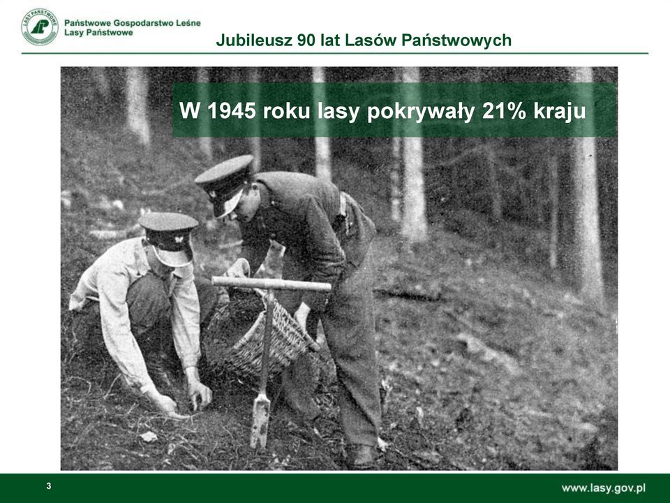 pokrywały