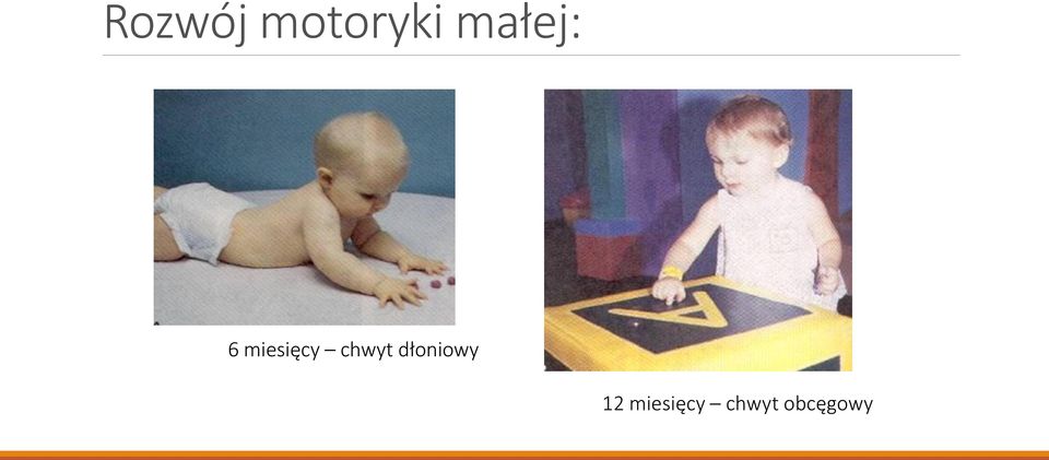 chwyt dłoniowy 12