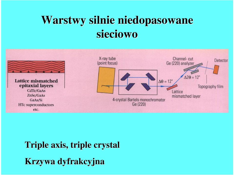 sieciowo Triple