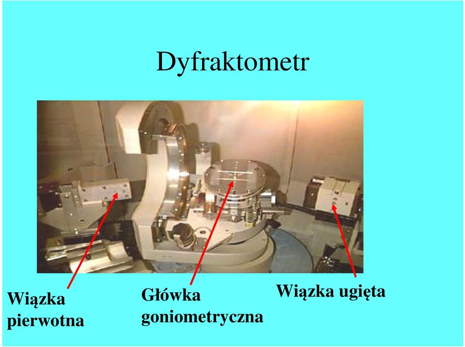 Główka