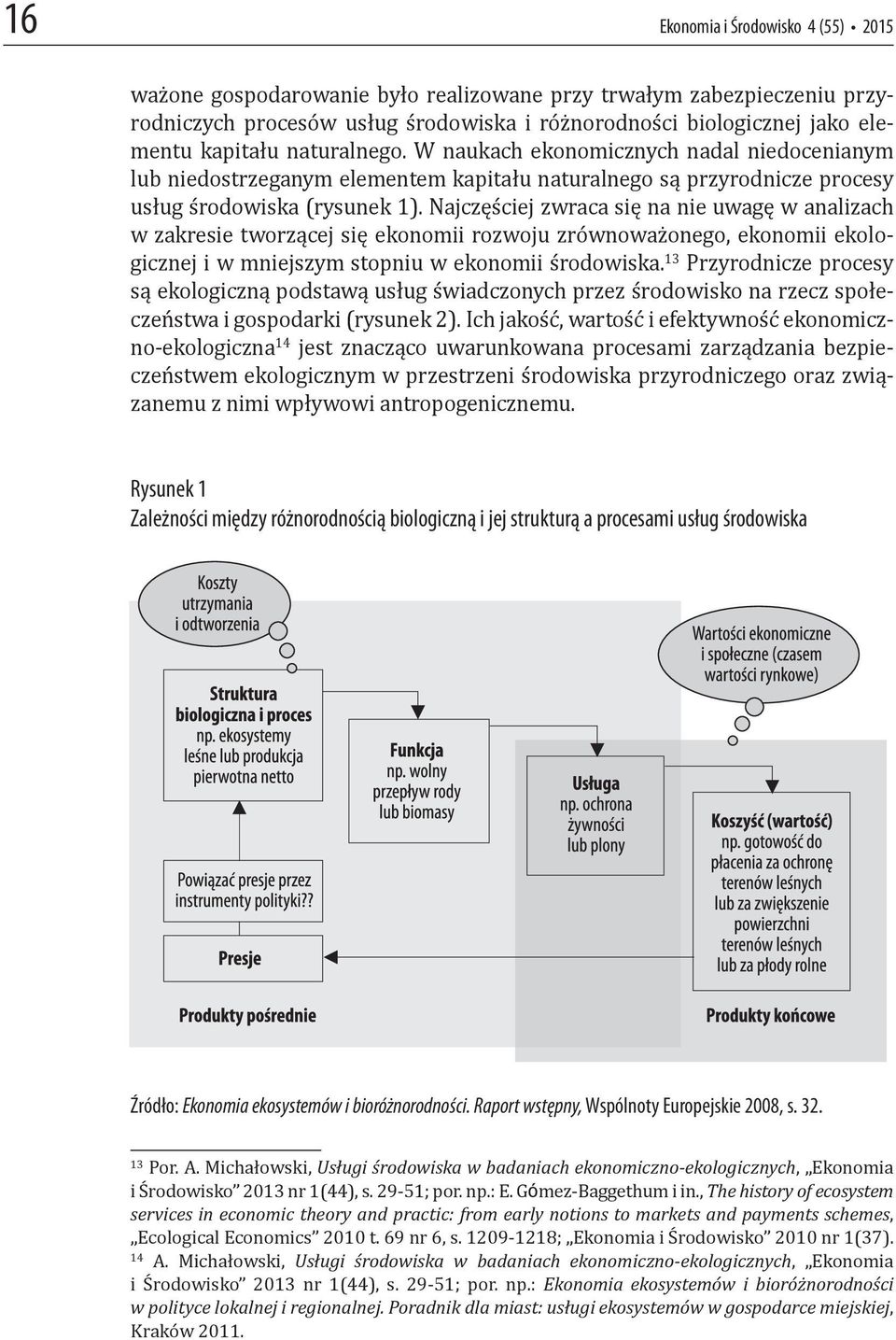 Najczęściej zwraca się na nie uwagę w analizach w zakresie tworzącej się ekonomii rozwoju zrównoważonego, ekonomii ekologicznej i w mniejszym stopniu w ekonomii środowiska.