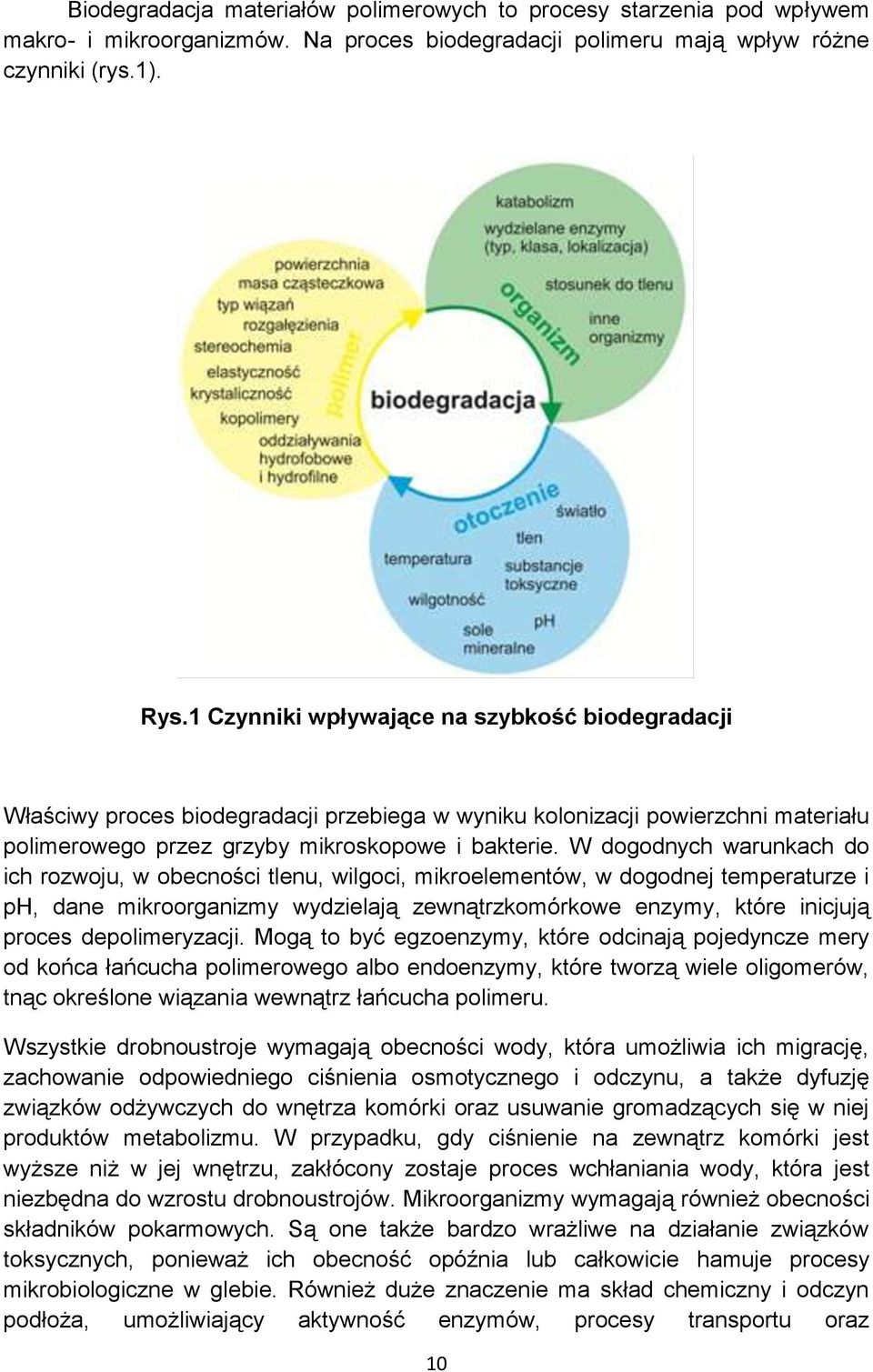 W dogodnych warunkach do ich rozwoju, w obecności tlenu, wilgoci, mikroelementów, w dogodnej temperaturze i ph, dane mikroorganizmy wydzielają zewnątrzkomórkowe enzymy, które inicjują proces