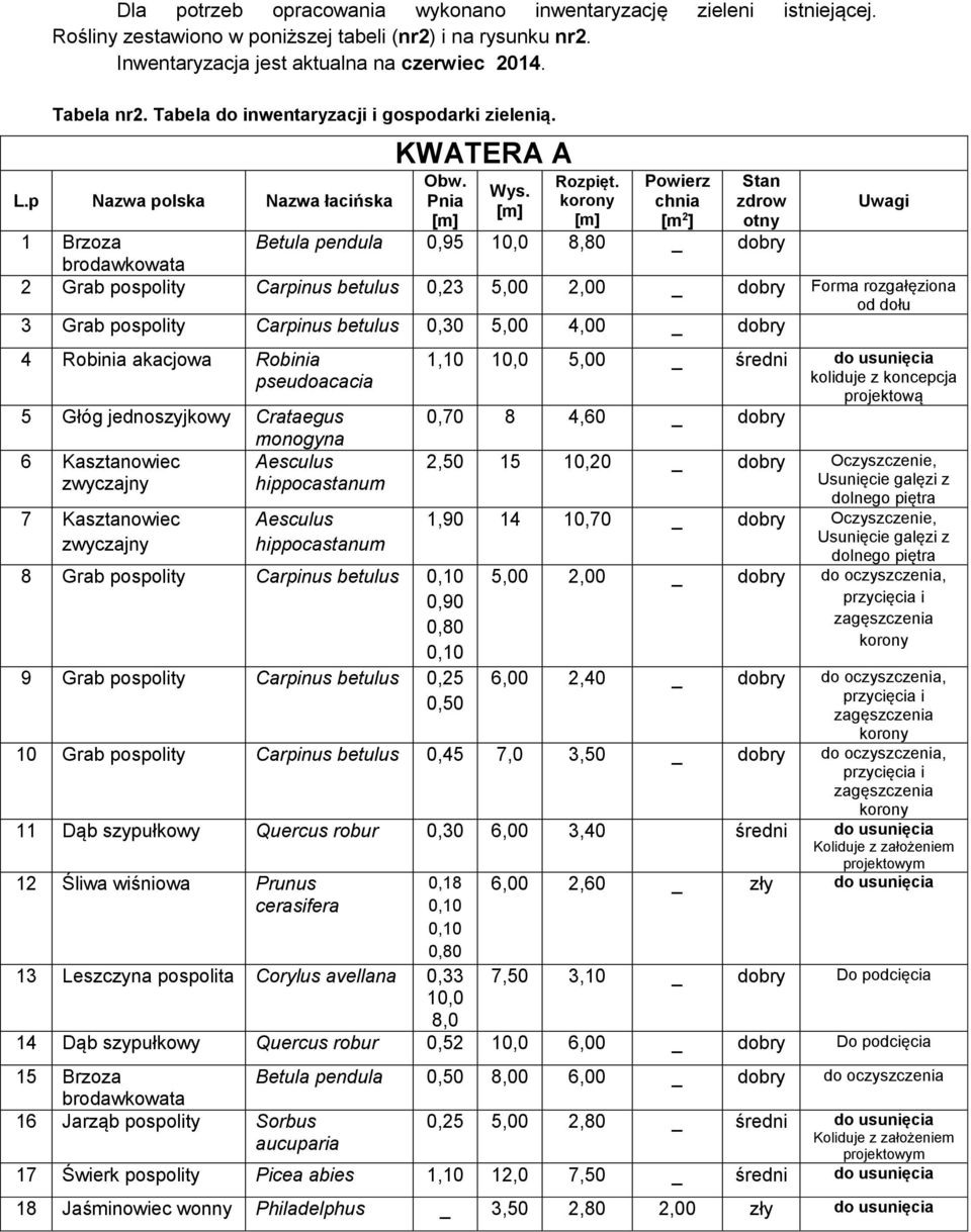 Pnia korony chnia zdrow [m 2 ] otny Uwagi 1 Brzoza Betula pendula 0,95 10,0 8,80 _ dobry brodawkowata 2 Grab pospolity Carpinus betulus 0,23 5,00 2,00 _ dobry Forma rozgałęziona od dołu 3 Grab