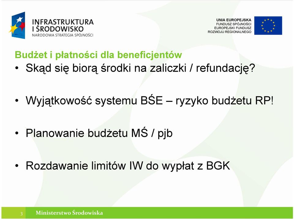 Wyjątkowość systemu BŚE ryzyko budżetu RP!