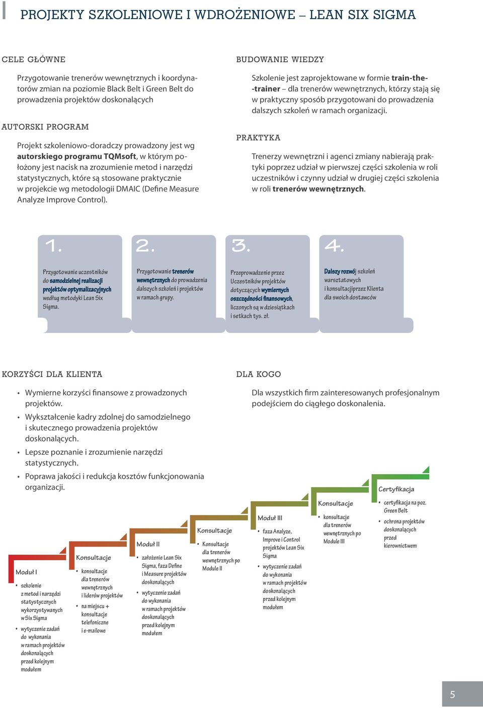 metodologii DMAIC (Define Measure Analyze Improve Control).