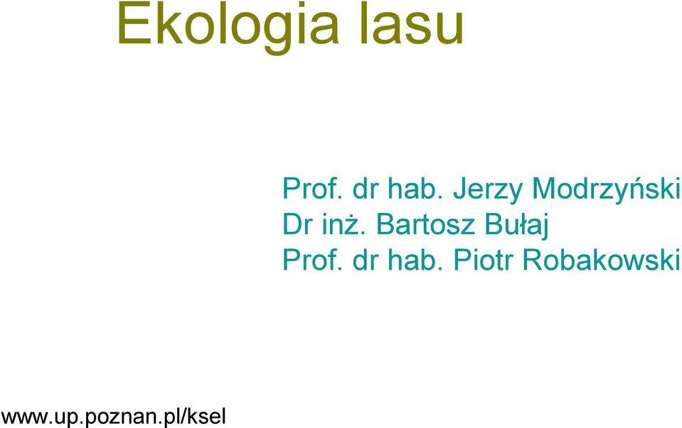 Bartosz Bułaj Prof. dr hab.