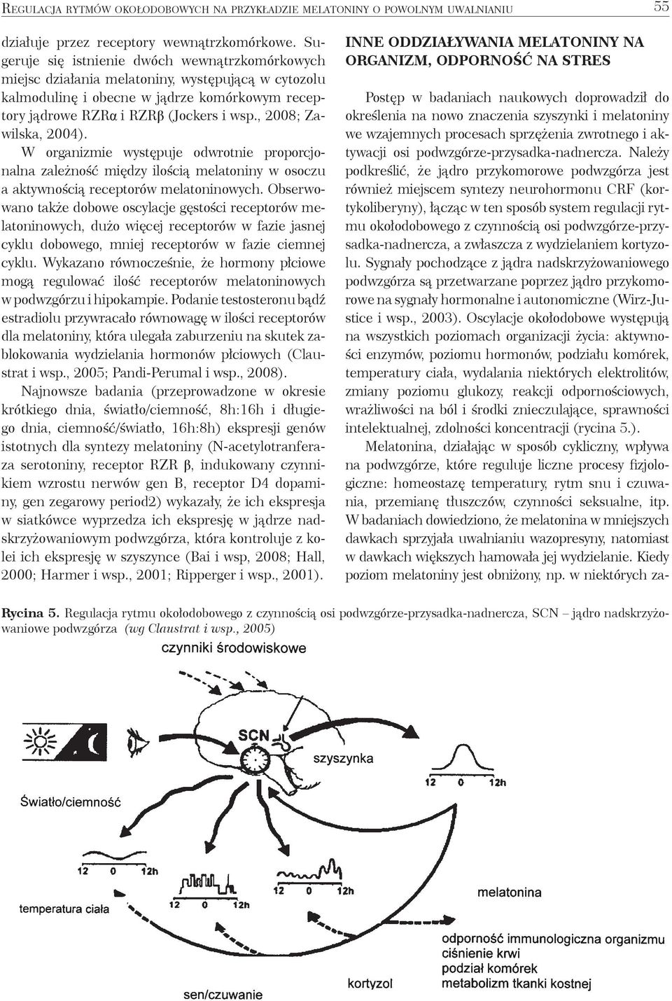 , 2008; Zawilska, 2004). W organizmie występuje odwrotnie proporcjonalna zależność między ilością melatoniny w osoczu a aktywnością receptorów melatoninowych.