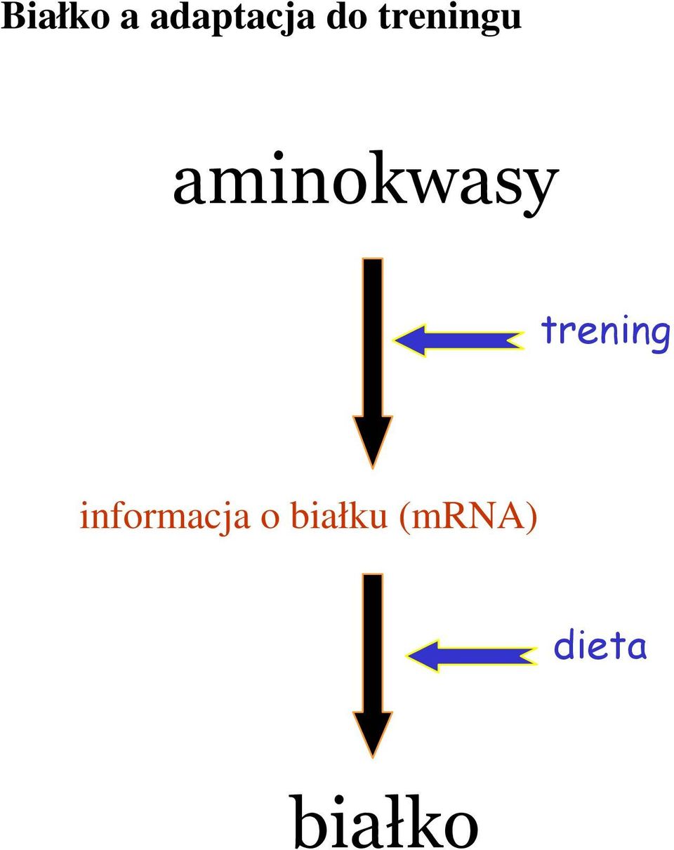 trening informacja o