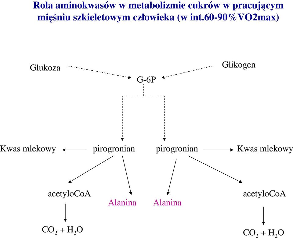 60-90%vo2max) Glukoza G-6P Glikogen Kwas mlekowy