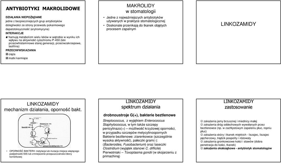 stomatologii Jedne z najważniejszych antybiotyków używanych w praktyce stomatologicznej Doskonale przenikają do tkanek objętych procesem zapalnym mechanizm działania, oporność bakt.