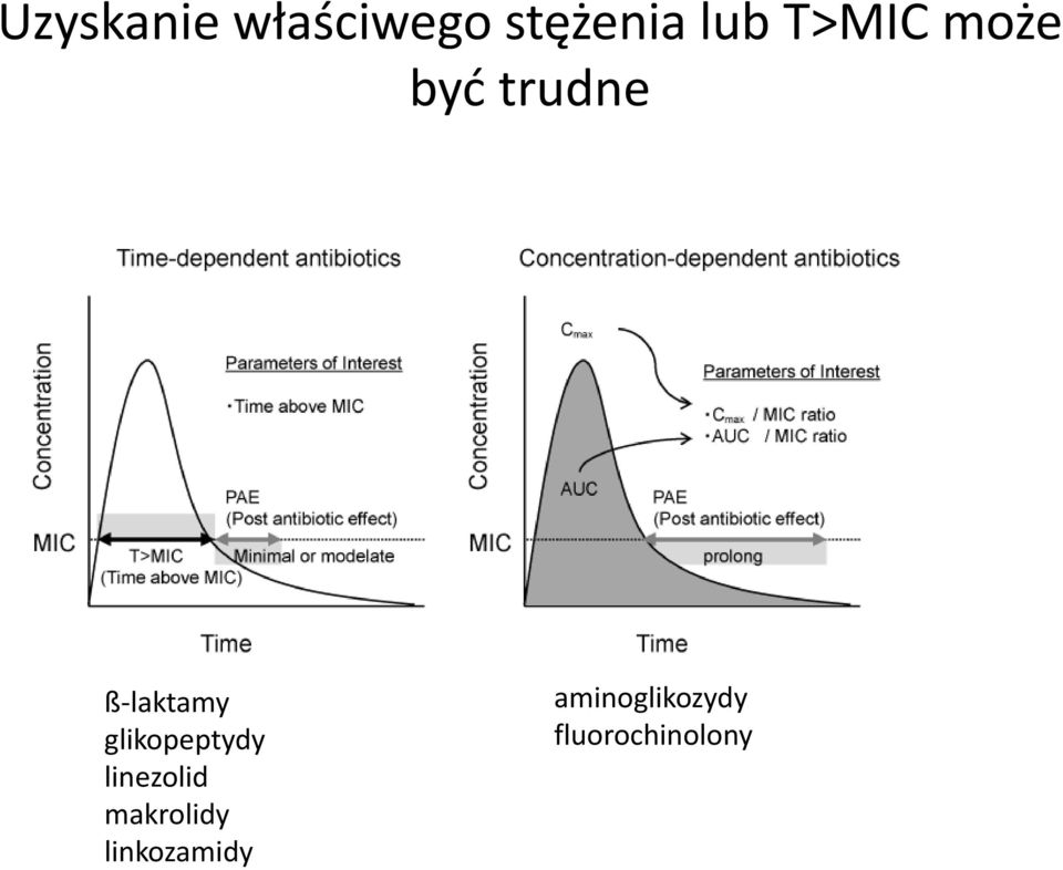 glikopeptydy linezolid makrolidy