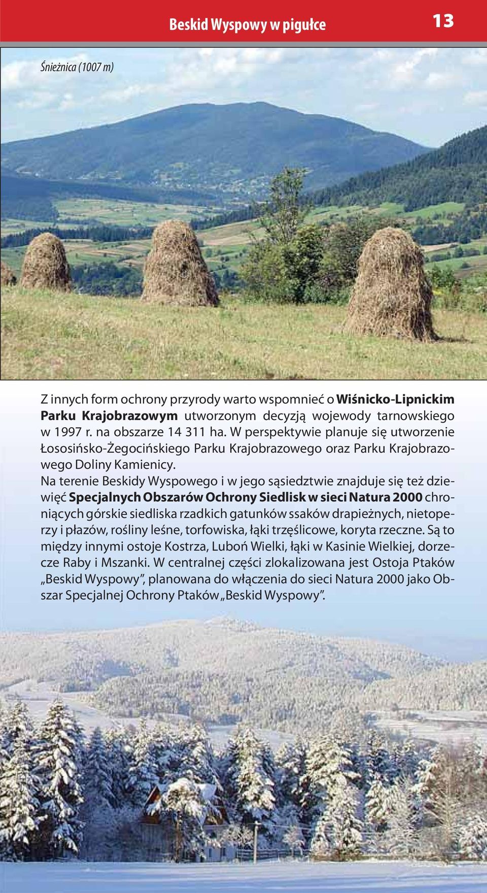 Na terenie Beskidy Wyspowego i w jego sąsiedztwie znajduje się też dziewięć Specjalnych Obszarów Ochrony Siedlisk w sieci Natura 2000 chroniących górskie siedliska rzadkich gatunków ssaków