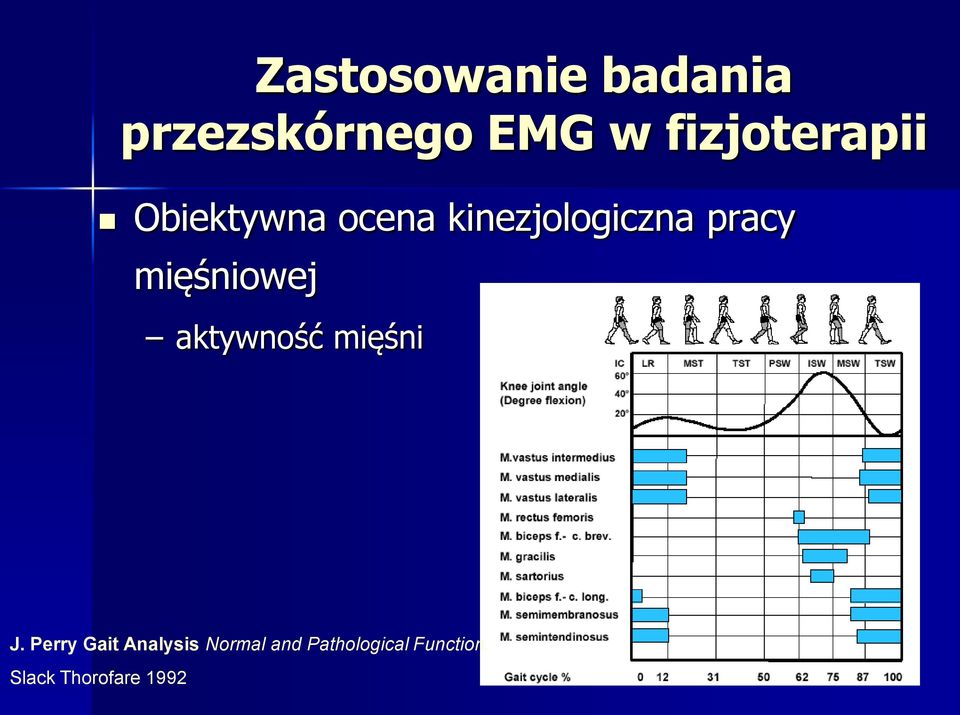 pracy mięśniowej aktywność mięśni J.