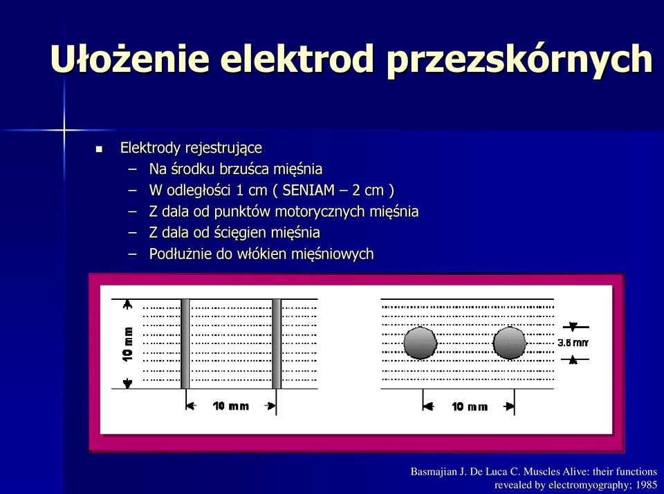 mięśnia Z dala od ścięgien mięśnia Podłużnie do włókien mięśniowych