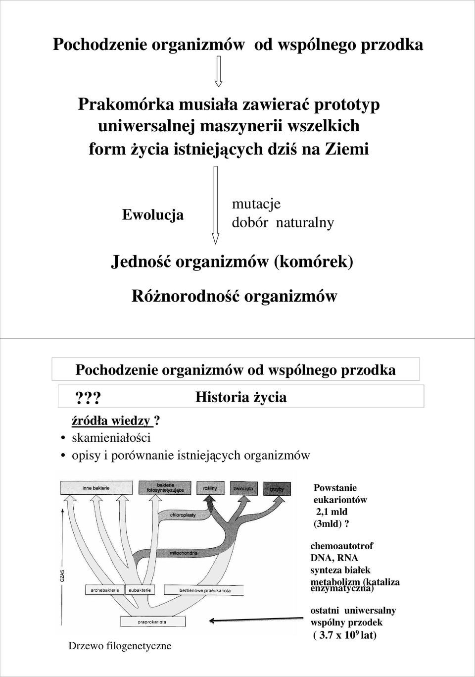 przodka??? Historia Ŝycia źródła wiedzy? skamieniałości opisy i porównanie istniejących organizmów Powstanie eukariontów 2,1 mld (3mld)?