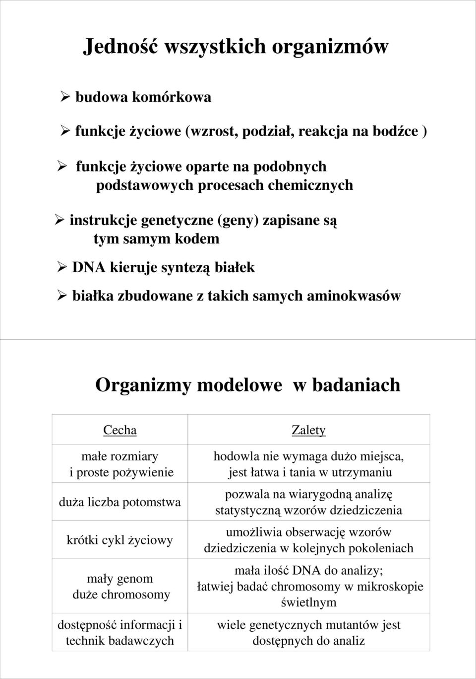 krótki cykl Ŝyciowy mały genom duŝe chromosomy dostępność informacji i technik badawczych Zalety hodowla nie wymaga duŝo miejsca, jest łatwa i tania w utrzymaniu pozwala na wiarygodną analizę