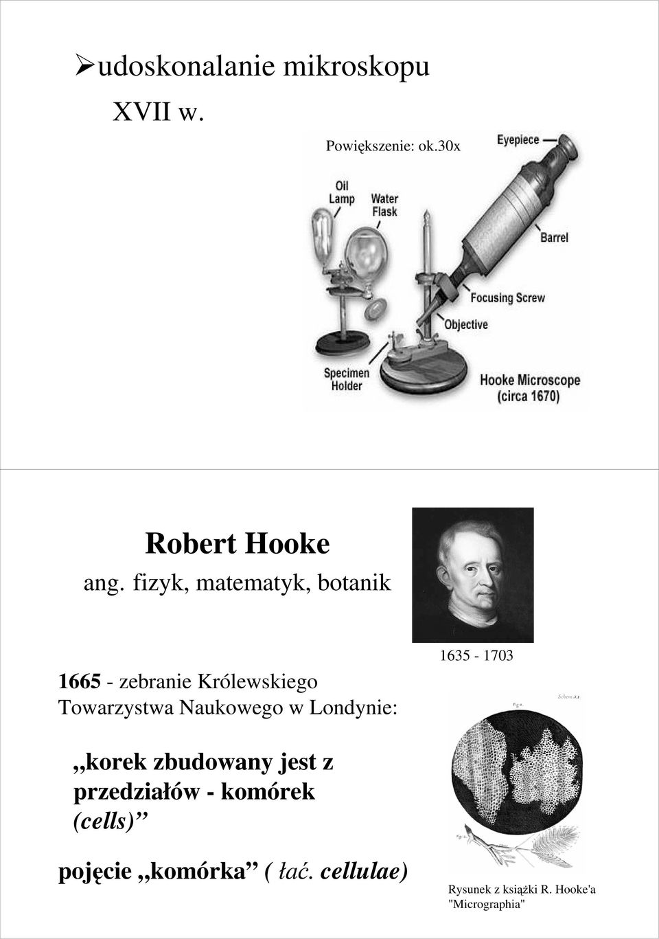 Naukowego w Londynie: 1635-1703 korek zbudowany jest z przedziałów -