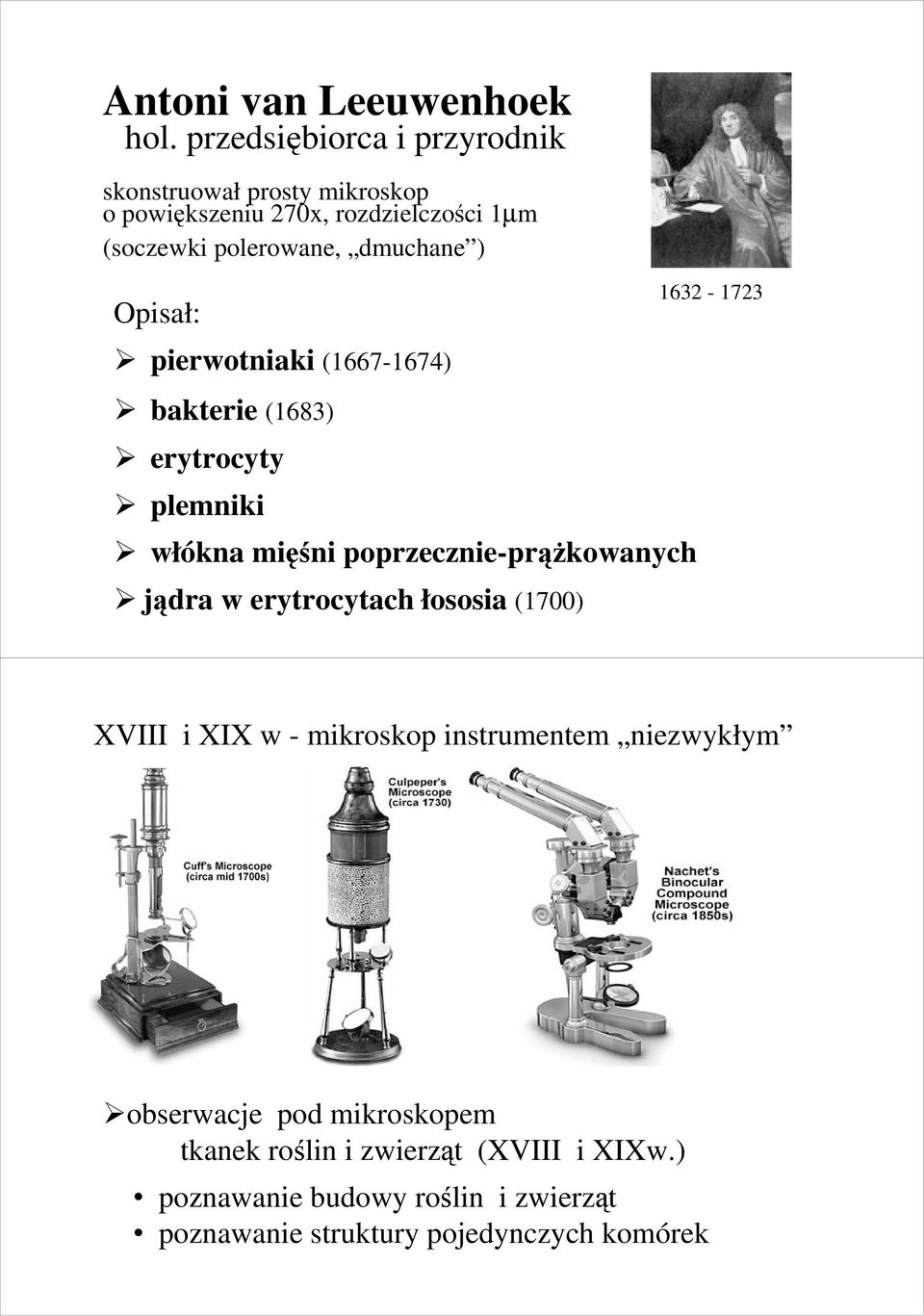 dmuchane ) Opisał: pierwotniaki (1667-1674) 1632-1723 bakterie (1683) erytrocyty plemniki włókna mięśni