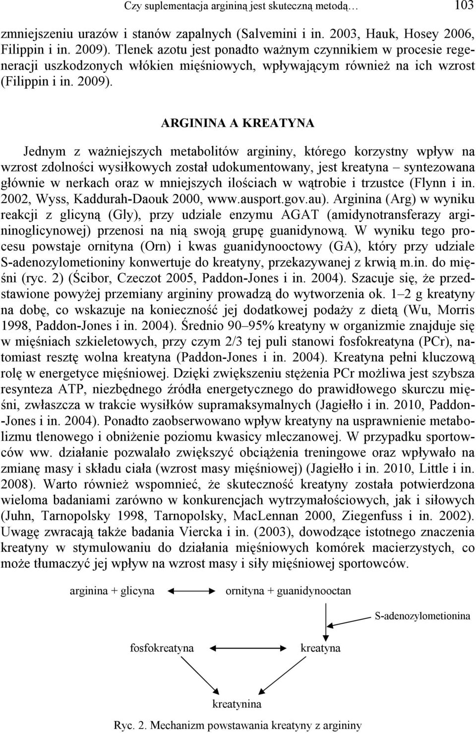 ARGININA A KREATYNA Jednym z ważniejszych metabolitów argininy, którego korzystny wpływ na wzrost zdolności wysiłkowych został udokumentowany, jest kreatyna syntezowana głównie w nerkach oraz w