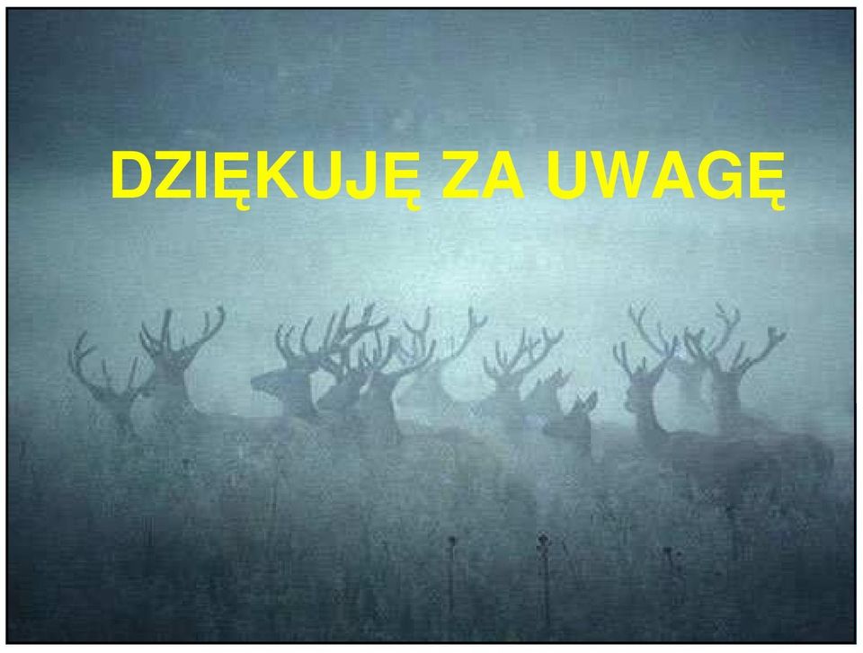 Dziękuj