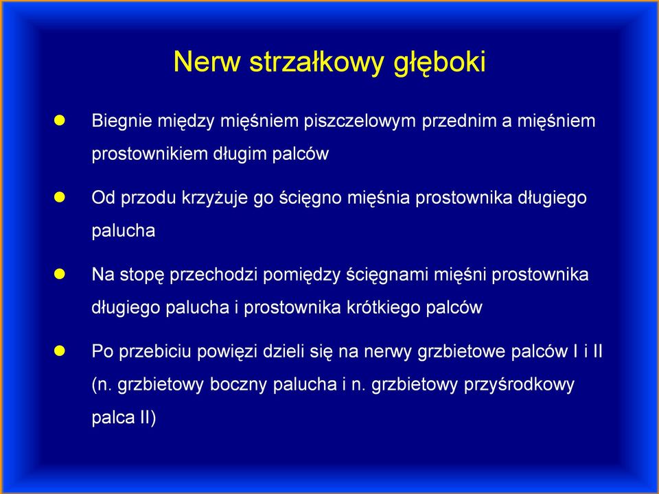 ścięgnami mięśni prostownika długiego palucha i prostownika krótkiego palców Po przebiciu powięzi