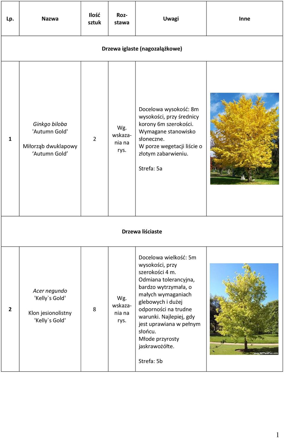 Strefa: a Drzewa liściaste Acer negundo 'Kelly`s Gold' Klon jesionolistny 'Kelly`s Gold' 8 Docelowa wielkość: m wysokości, przy szerokości 4 m.