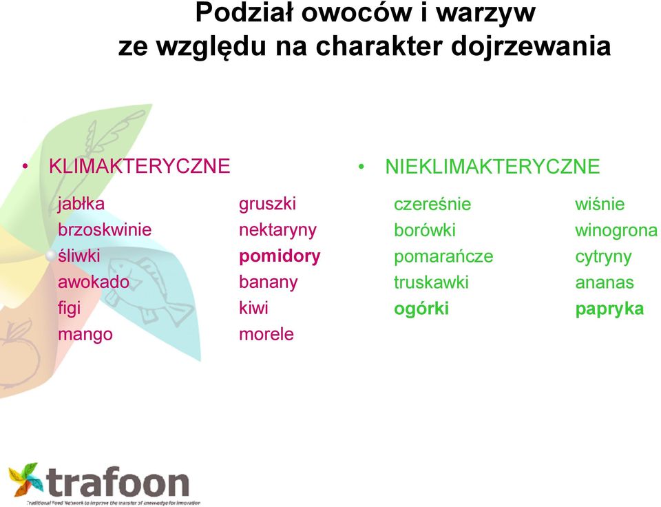 brzoskwinie nektaryny borówki winogrona śliwki pomidory pomarańcze