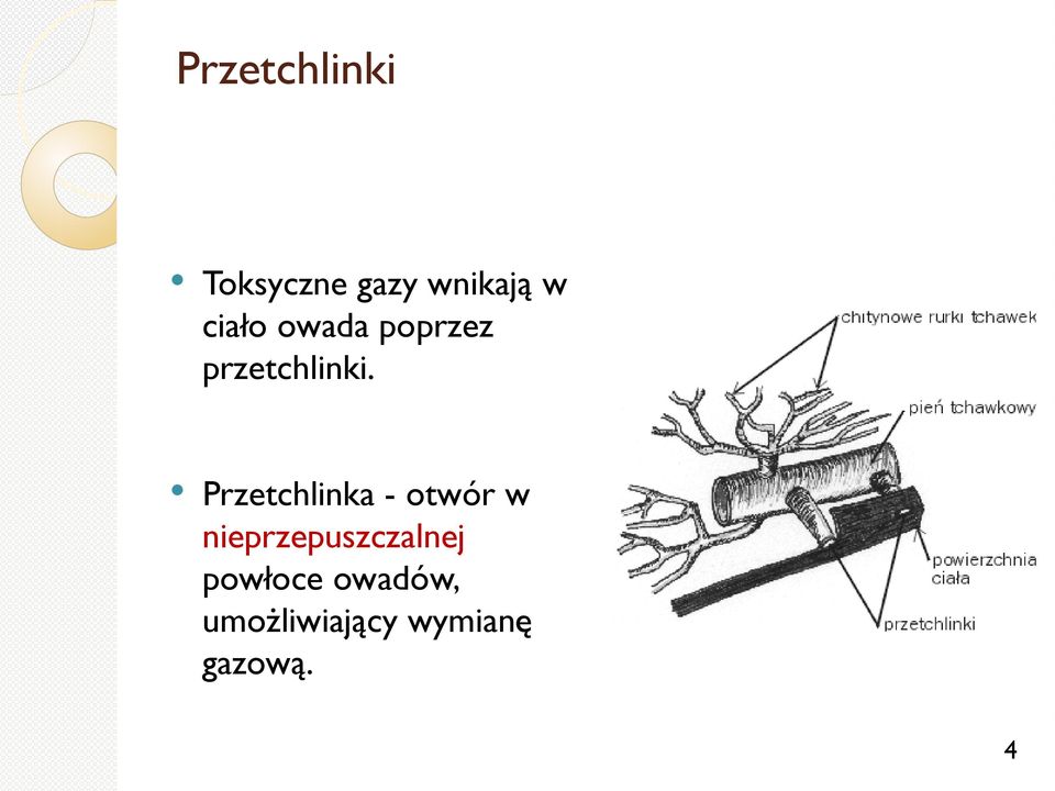 Przetchlinka - otwór w