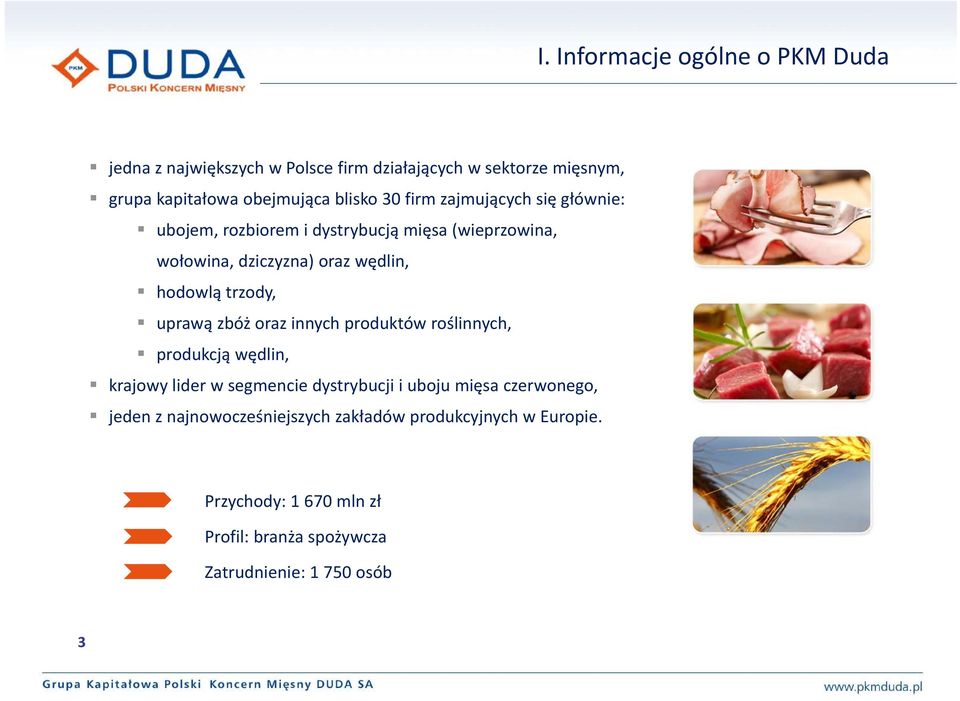 trzody, uprawą zbóż oraz innych produktów roślinnych, produkcją wędlin, krajowy lider w segmencie dystrybucji i uboju mięsa