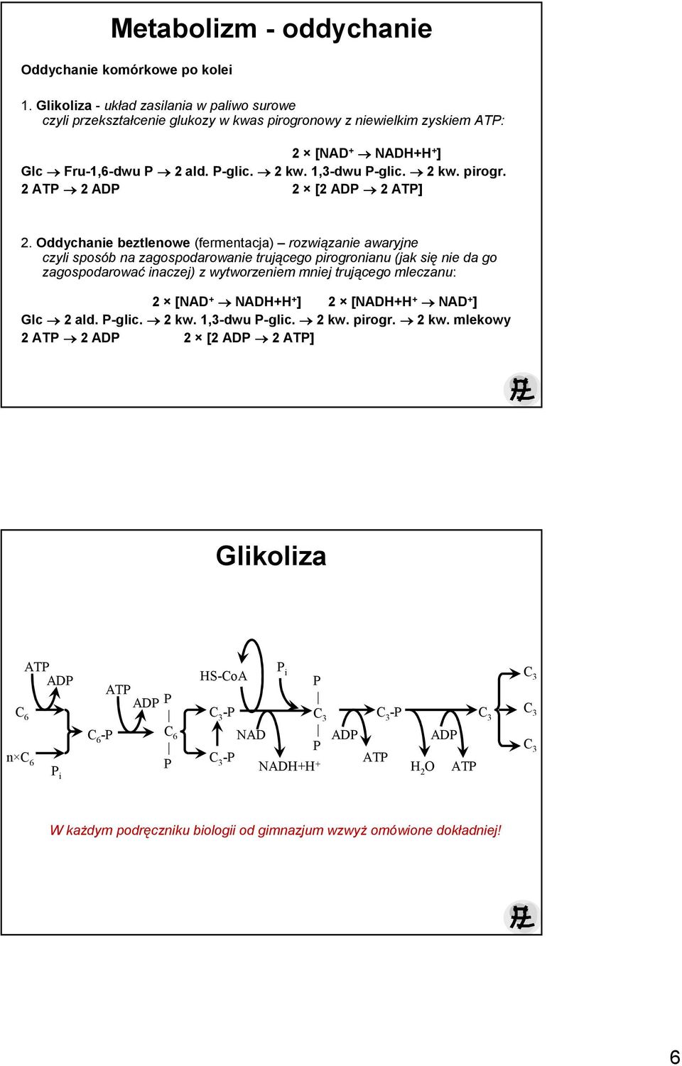 2 kw. pirogr. 2 ATP 2 ADP 2 [2 ADP 2 ATP] 2.