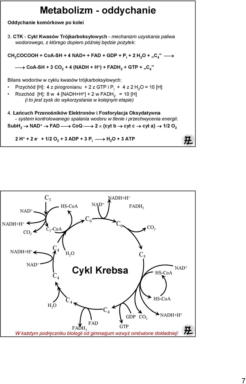 + 4 (NADH + H + ) + FADH 2 + GTP + C 4 Bilans wodorów w cyklu kwasów trójkarboksylowych: Przychód [H]: 4 z pirogronianu + 2 z GTP i P i + 4 z 2 H 2 O = 10 [H] Rozchód [H]: 8 w 4 [NADH+H + ] + 2 w