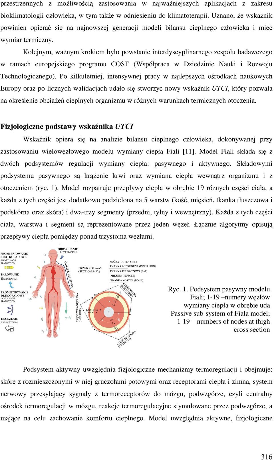 Kolejnym, waŝnym krokiem było powstanie interdyscyplinarnego zespołu badawczego w ramach europejskiego programu COST (Współpraca w Dziedzinie Nauki i Rozwoju Technologicznego).