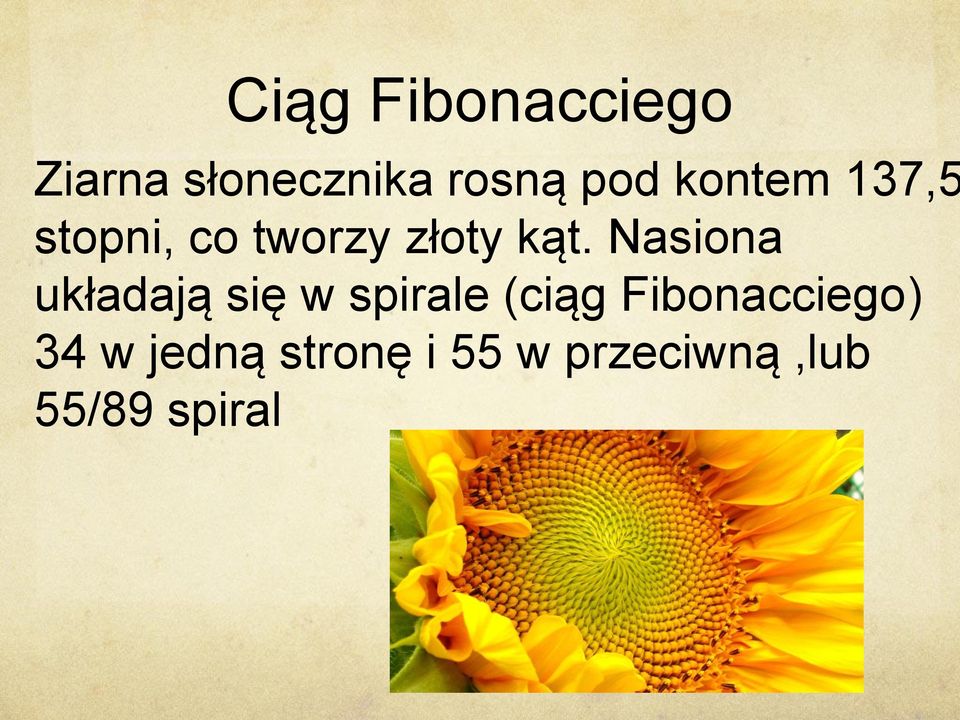 Nasiona układają się w spirale (ciąg