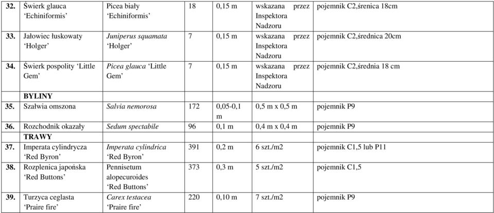 18cm pojemnik C2,średnica 20cm pojemnik C2,średnia 18 cm BYLINY 35. Szałwia omszona Salvia nemorosa 172 0,05-0,1 0,5 m x 0,5 m pojemnik P9 m 36.