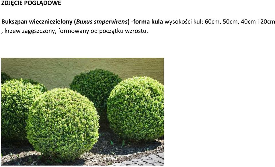 -forma kula wysokości kul: 60cm, 50cm,