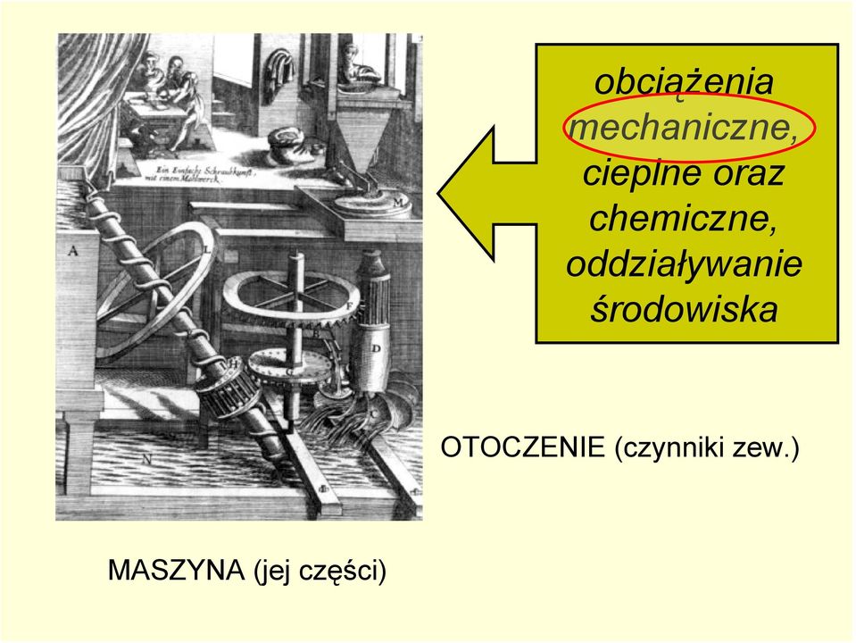 oddziaływanie środowiska